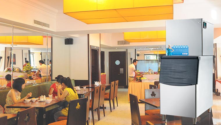 Máy đá viên hải Âu tại khách sạn