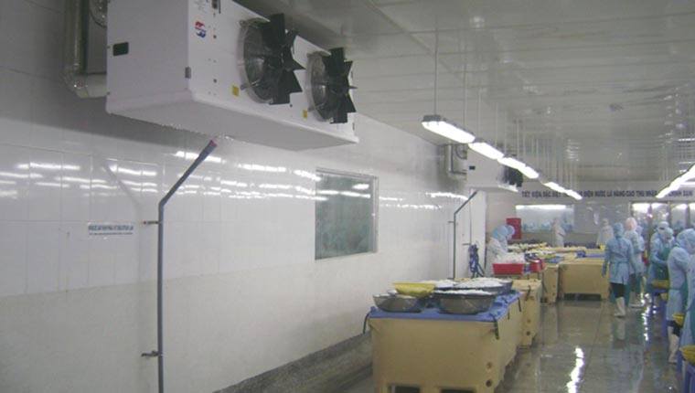 Hệ thống kho lạnh cấp đông