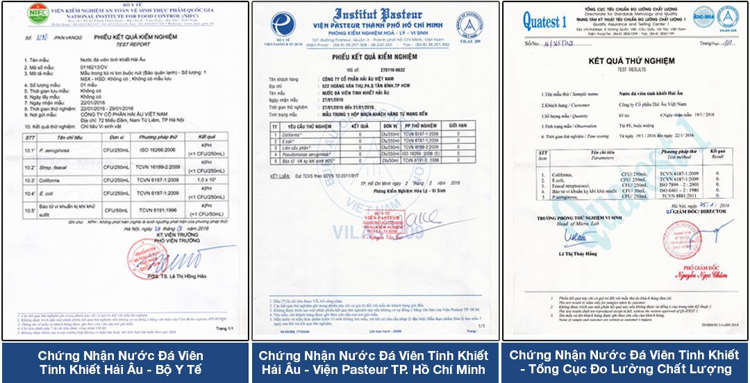 Chứng nhận nước đá viên tinh khiết Hải Âu Chứng nhận nước đá viên tinh khiết Hải Âu