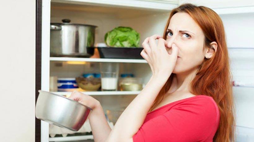 thiết bị lạnh có mùi thiet bi lanh co mui